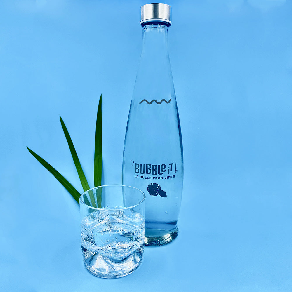 Blue Bee Daisy Bouteille d'eau en verre dépoli 500 ml mat pour l'été,  durable, réutilisable, fermeture double bouchon, écologique, fantaisie